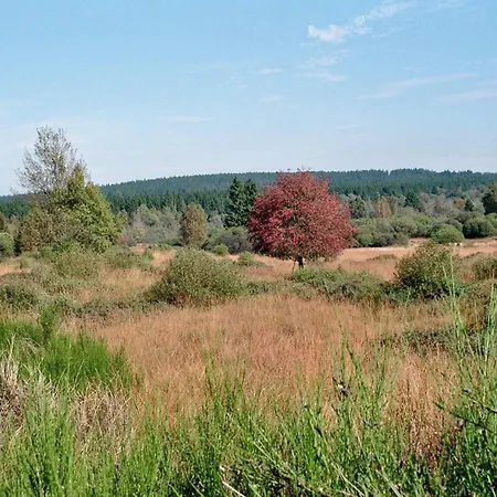 Zur Altstadt 1 Monschau