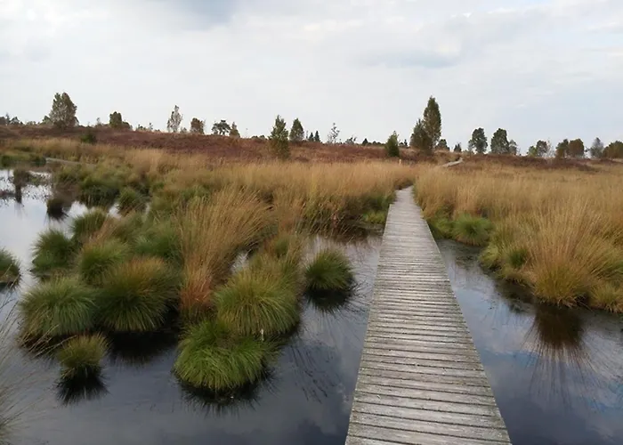 Zur Altstadt 1 Διαμέρισμα *