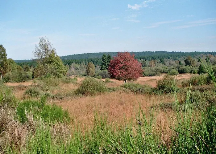 Zur Altstadt 1 Μονσάου